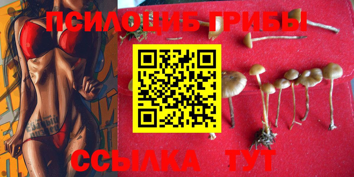 Псилоцибиновые грибы GOLDEN TEACHER Вятские Поляны