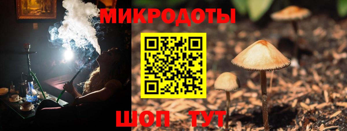 Галлюциногенные грибы Psilocybe  Вход с VPN  что такое   Вятские Поляны 